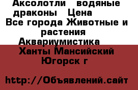 Аксолотли / водяные драконы › Цена ­ 500 - Все города Животные и растения » Аквариумистика   . Ханты-Мансийский,Югорск г.